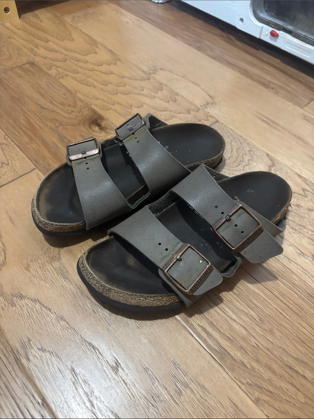 Double Strap Buckle Birkenstock Sandals in Olive Green